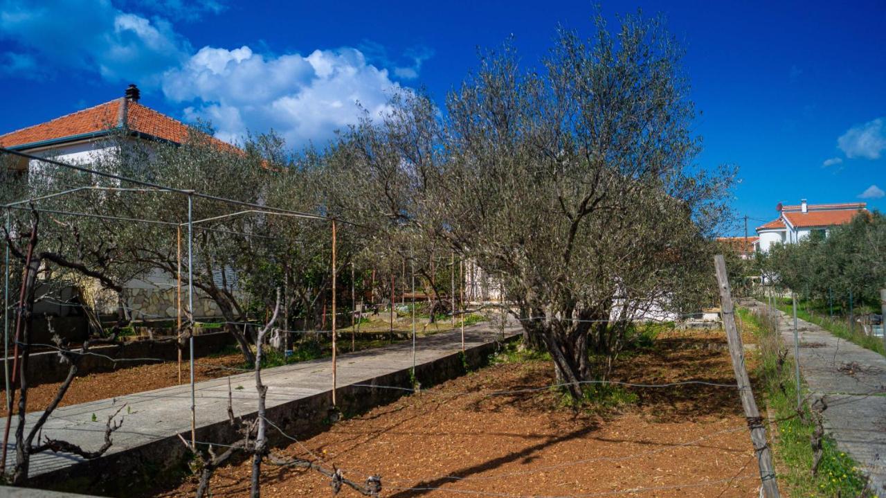 Villa Vecchia Oliva,Kuljica Kukljica Exterior foto