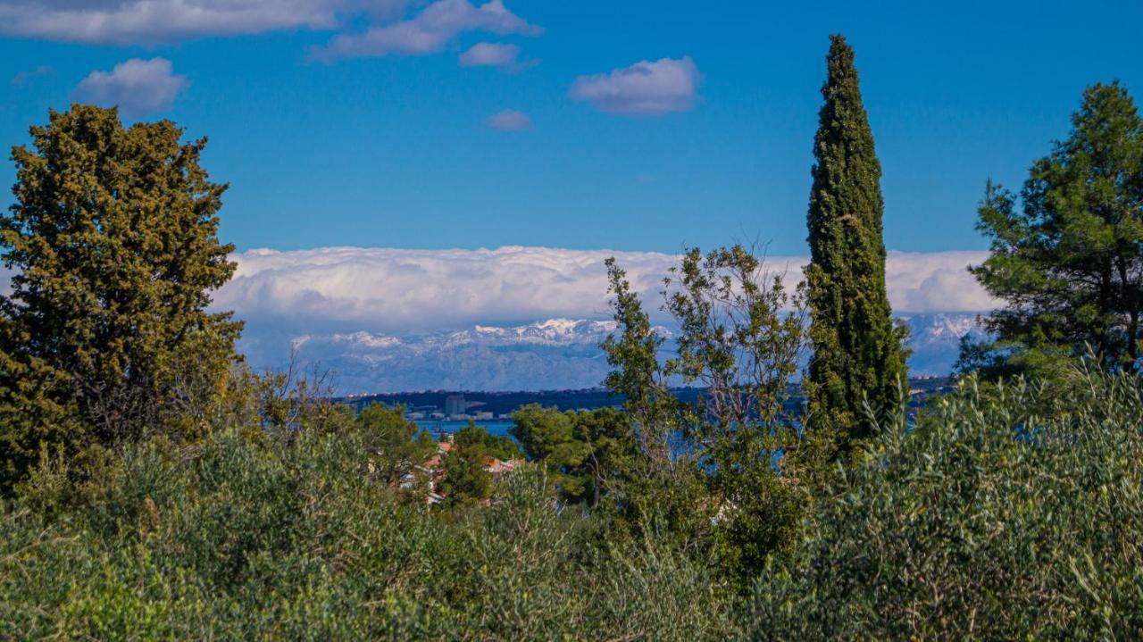 Villa Vecchia Oliva,Kuljica Kukljica Exterior foto