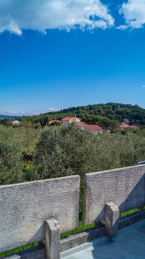 Villa Vecchia Oliva,Kuljica Kukljica Exterior foto