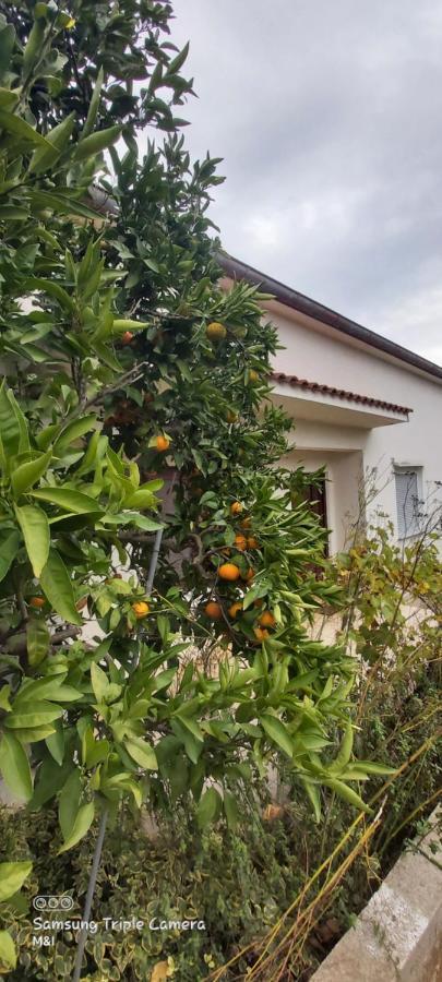 Villa Vecchia Oliva,Kuljica Kukljica Exterior foto